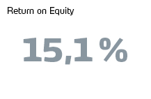Return on Equity 15.1 %